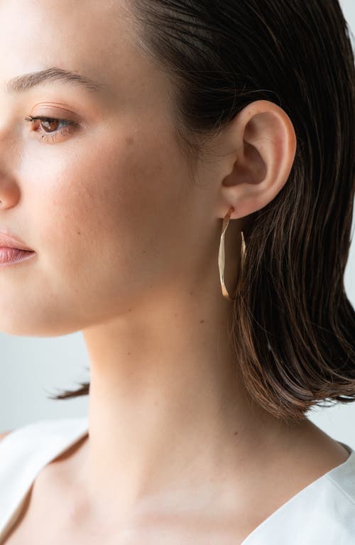 Albisia Scallop Hoops In 14k Gold Filled