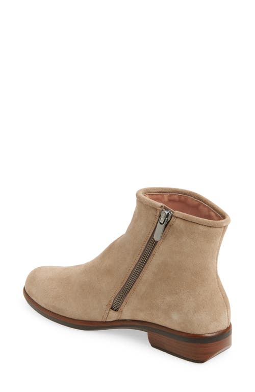 Shop Naot Norther Bootie In Almond Suede