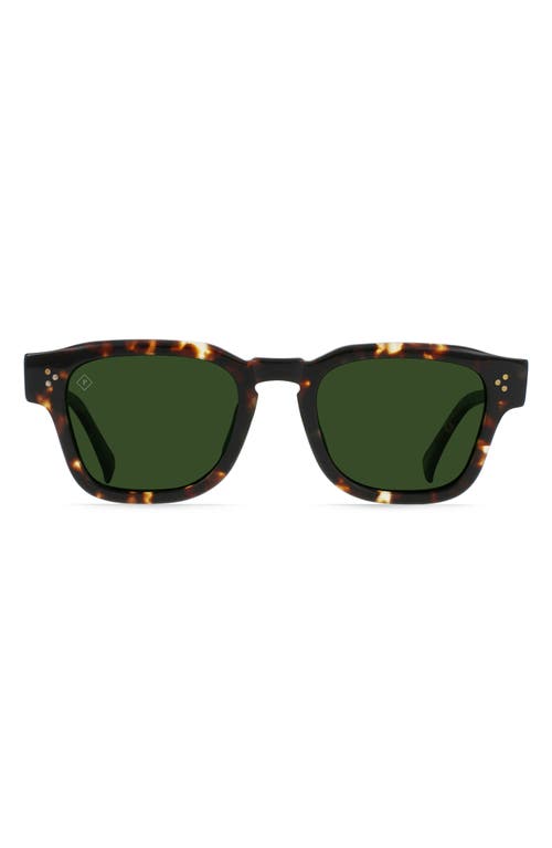 Rece 51mm Polarized Square Sunglasses in Brindle Tortoise /Green Polar