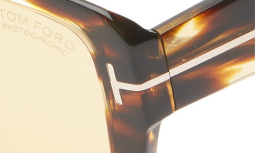 Shop Tom Ford Redford 56mm Navigator Sunglasses In Shiny Honey/amber