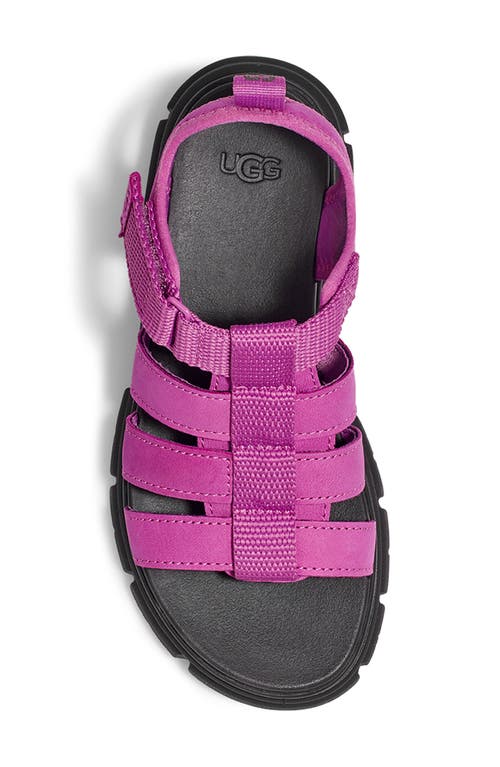 Shop Ugg(r) Kids' Ashton Fisherman Sandal In Mangosteen