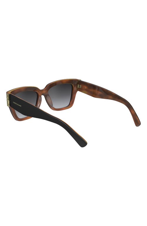 Shop Longchamp 53mm Gradient Modified Rectangular Sunglasses In Black/havana