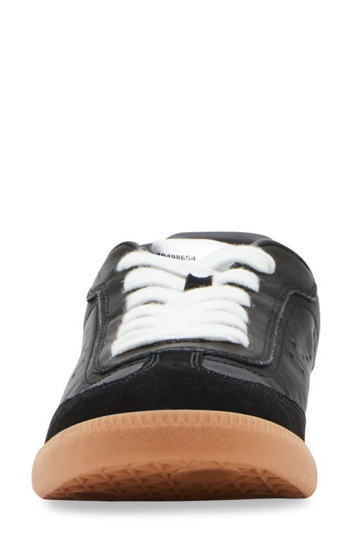 Shop Steve Madden Duo Sneaker In Black