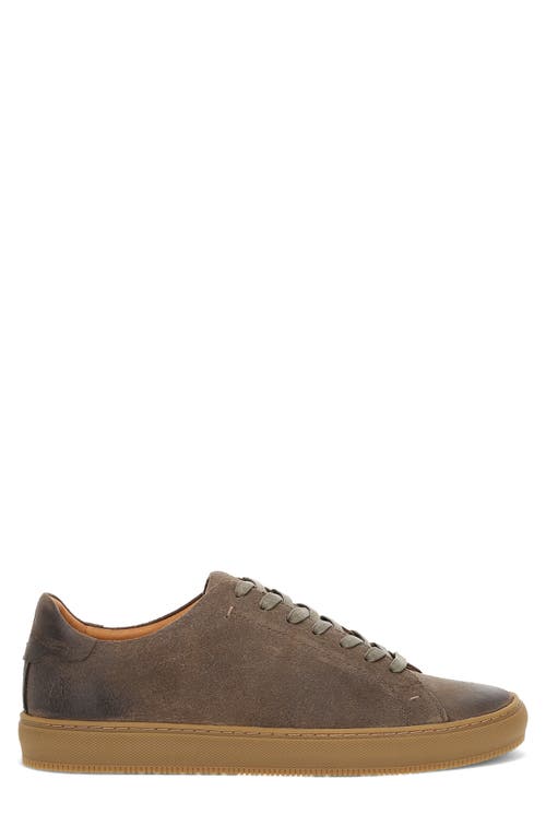 Frye Astor Sneaker In Sage Brush