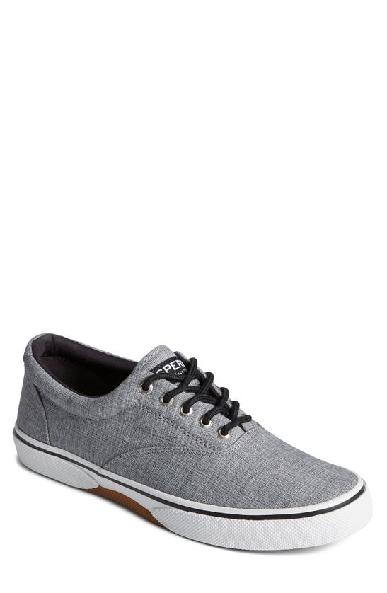 Sperry Top-sider® Sperry Top-sider Haylard Low Top Sneaker In Black