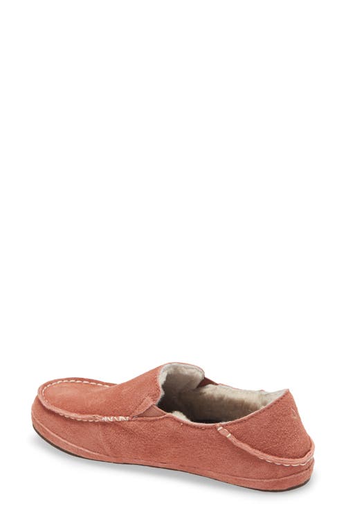 Shop Olukai Nohea Nubuck Slipper In Cedarwood/cedarwood Leather