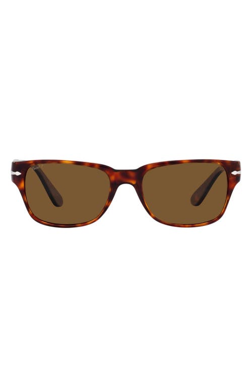Persol Polarized Rectangular Sunglasses in Pol Brown at Nordstrom