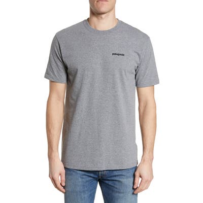 Patagonia Fitz Roy Trout Crewneck T-Shirt