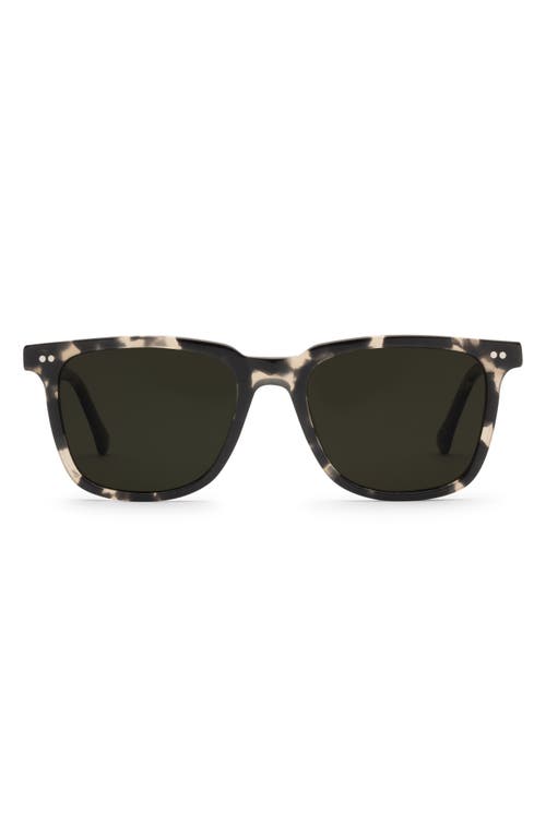Electric Birch 53mm Polarized Square Sunglasses In Black