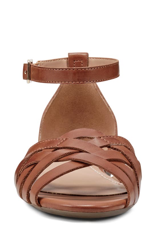 Shop Easy Spirit Dorothy Ankle Strap Sandal In Medium Brown 210