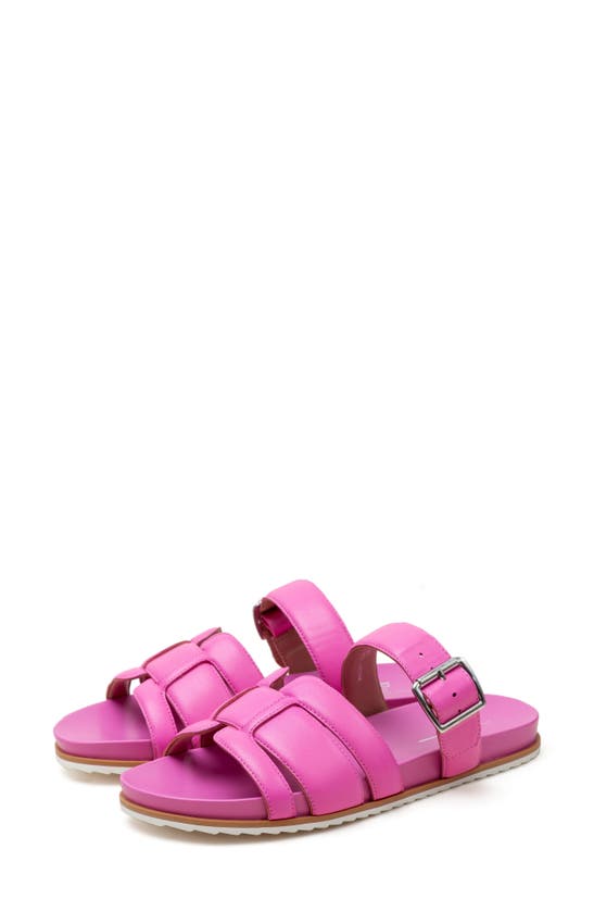 Linea Paolo Rosalie Sandal In Magenta
