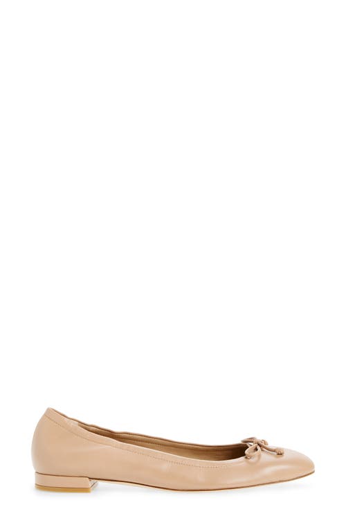 Shop Stuart Weitzman Bria Ballet Flat In Adobe