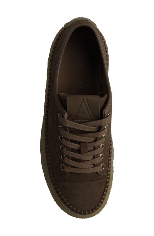 Artisan Crafted By Zigi Clover Low Top Sneaker In Taupe Suede