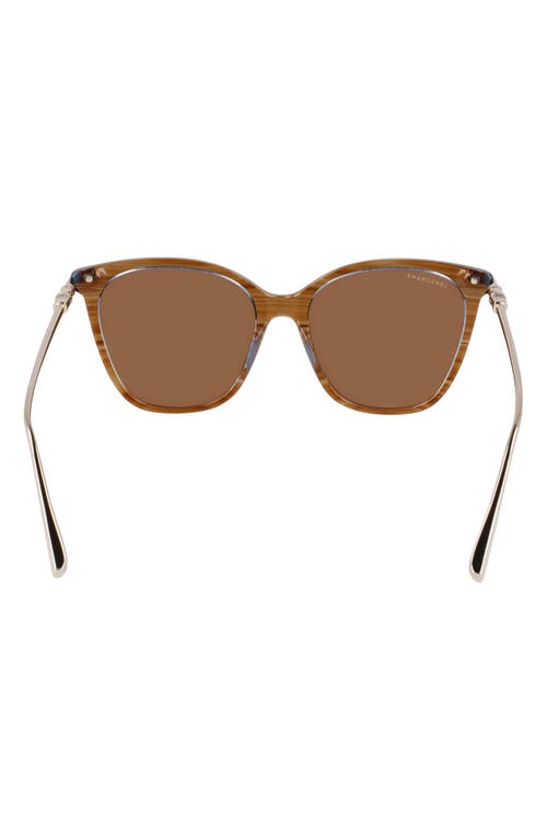 Longchamp Roseau 55mm Rectangular Sunglasses In Striped Brown
