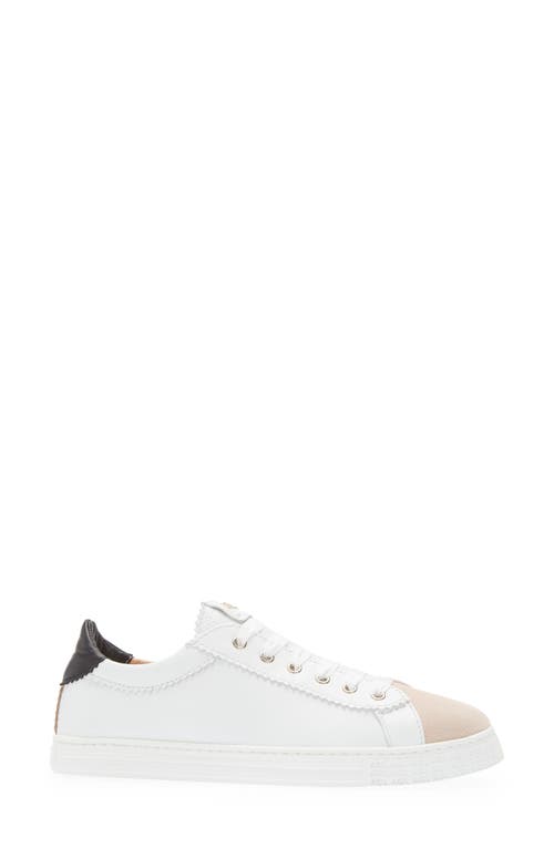 Shop Agl Attilio Giusti Leombruni Agl Sade Sneaker In White W/black