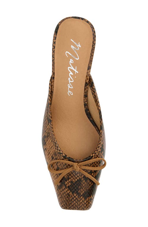 Shop Matisse Basilio Mule In Brown