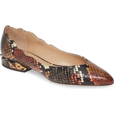 Chloe Laurena Snake Embossed Scalloped Flat - Beige (Nordstrom Exclusive)