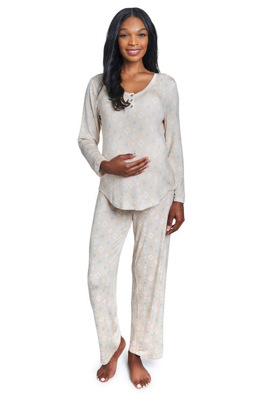 Laina Jersey Long Sleeve Maternity/Nursing Pajamas in Mosaic