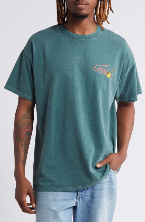 Pomelo Graphic T-Shirt in Dark Green