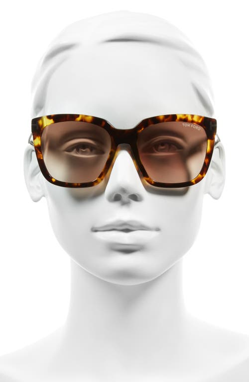 Tom Ford Amarra 55mm Gradient Lens Square Sunglasses In Havana/gradient Brown