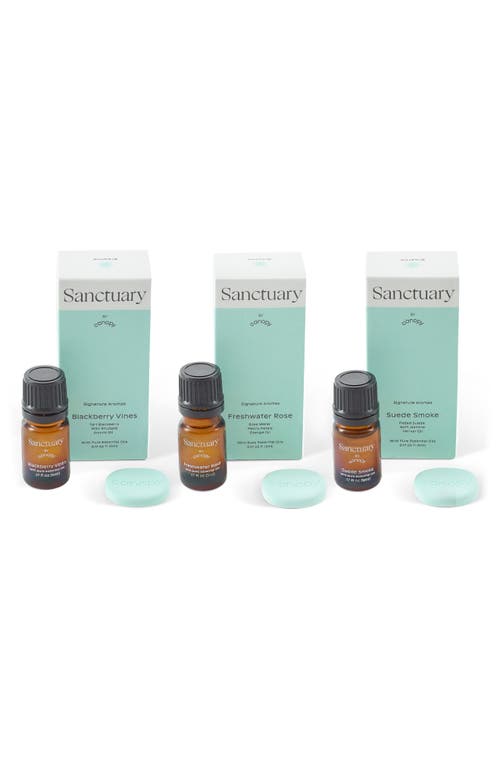 Shop Canopy Sanctuary Aroma Kit In Light/pastel Green