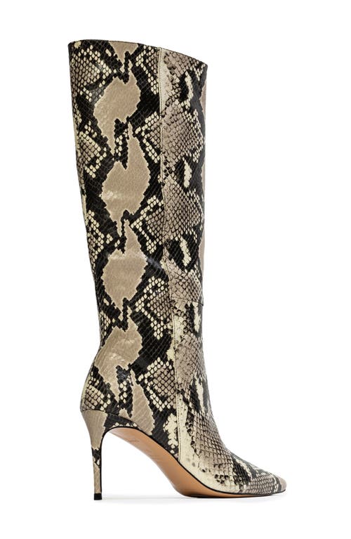 Black Suede Studio Friday 80 Pointed Toe Knee High Boot In Peyote Snake