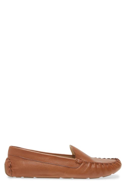 Shop Cole Haan Evelyn Leather Loafer In Pecan Leather