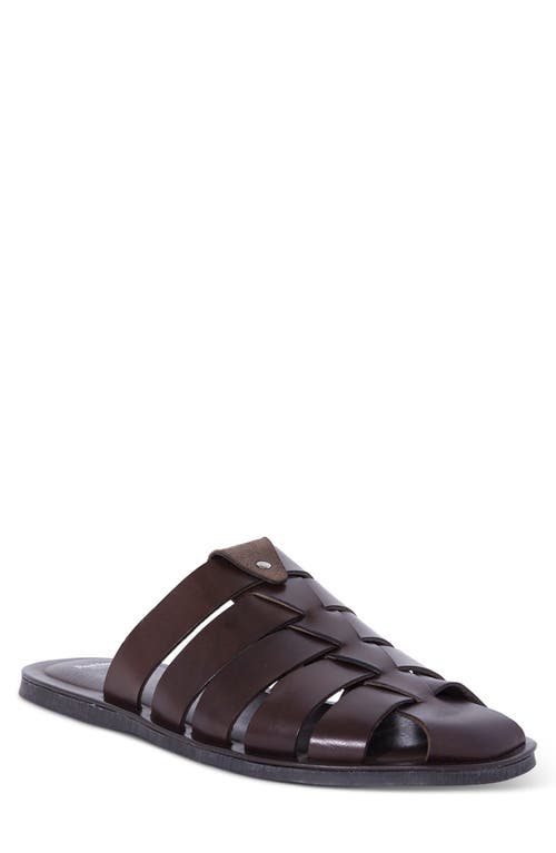 Paul Stuart Paradiso Fisherman Sandal in Brown at Nordstrom, Size 13