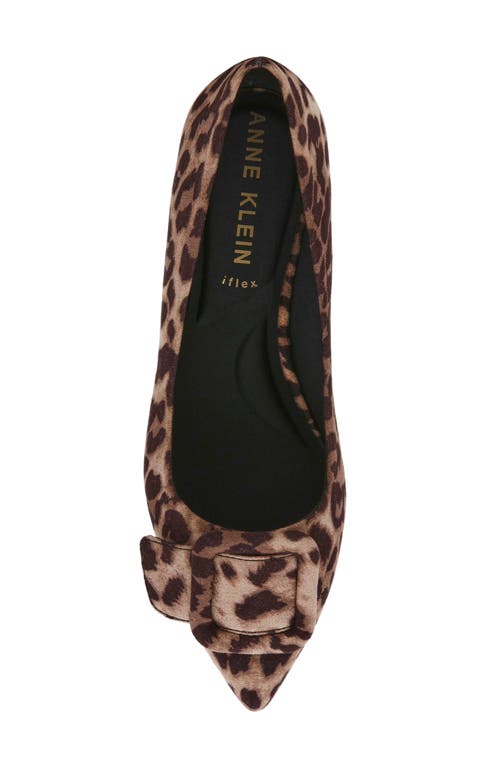 Shop Anne Klein Kalea Pointy Toe Flat In Leopard