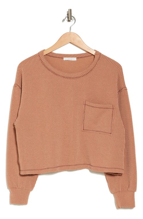 Lush Rib Knit Pocket Pullover In Taupe