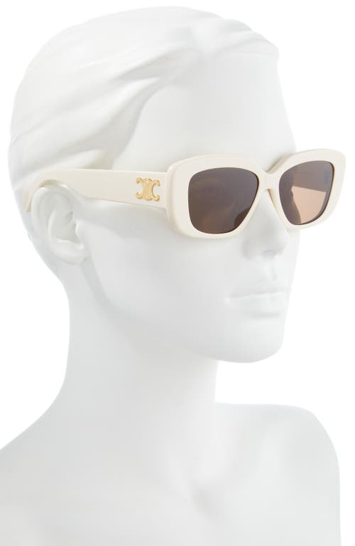 Shop Celine Triomphe 55mm Rectangular Sunglasses In Ivory/brown