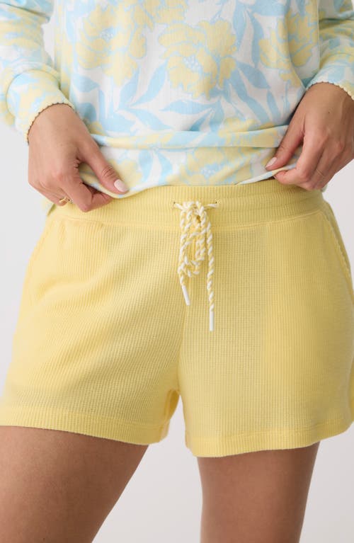 PJ Salvage Sunshine Fields Waffle Knit Pajama Shorts at Nordstrom,