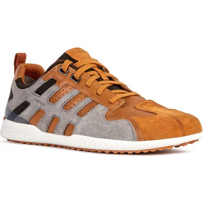 Geox Snake 24 Sneaker - Yellow