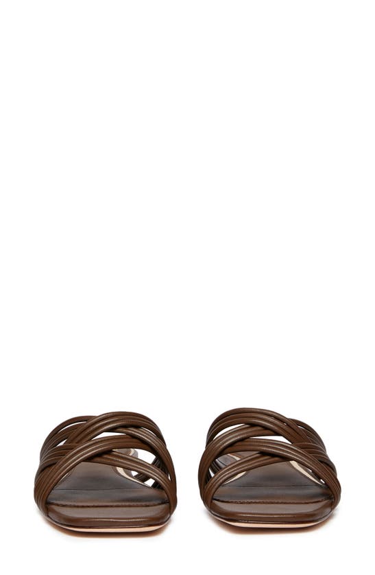 Shop Paige Dina Slide Sandal In Chocolate