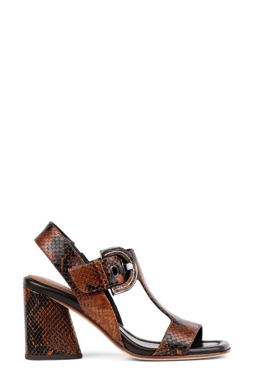 Shop Donald Pliner Erin Slingback T-strap Sandal In Chestnut