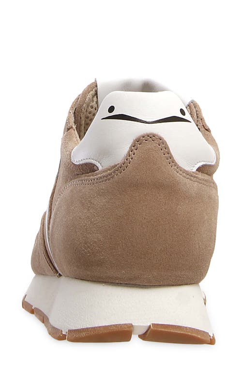 Shop Voile Blanche Julia Sneaker In Beige