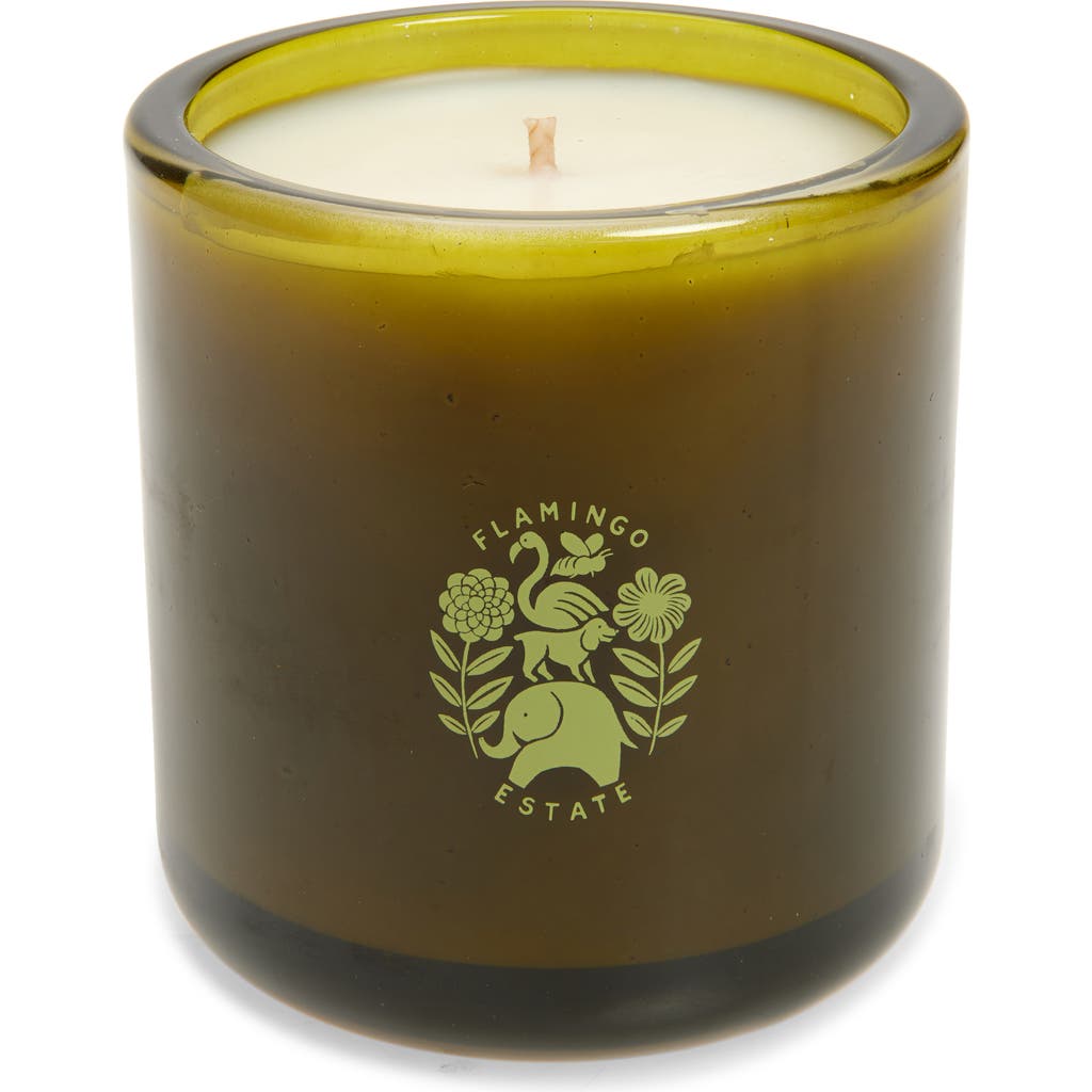 Flamingo Estate Ancient Agrigento Olive Tree Candle In Green