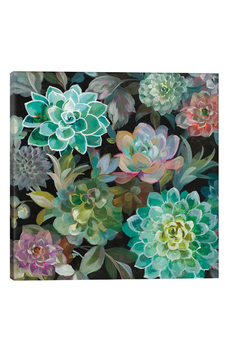 iCanvas Floral Succulents by Danhui Nai Giclée Print Canvas Art | Nordstrom
