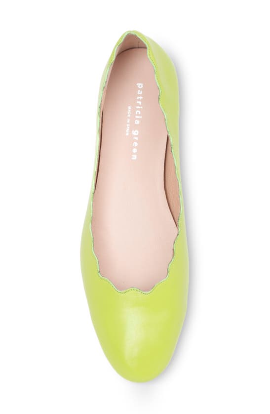 Shop Patricia Green Palm Beach Scalloped Ballet Flat In Lime