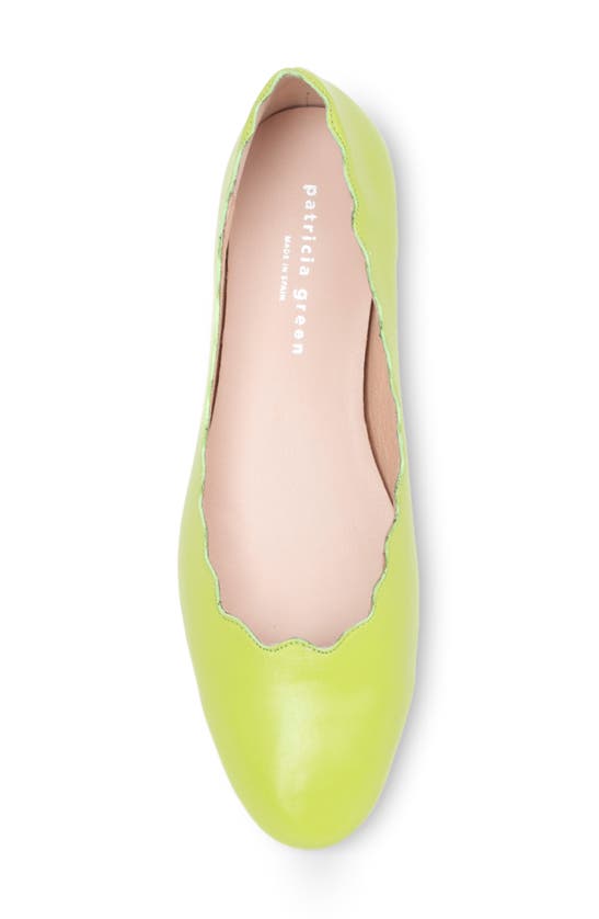 Patricia Green Palm Beach Ballet Flat In Lime