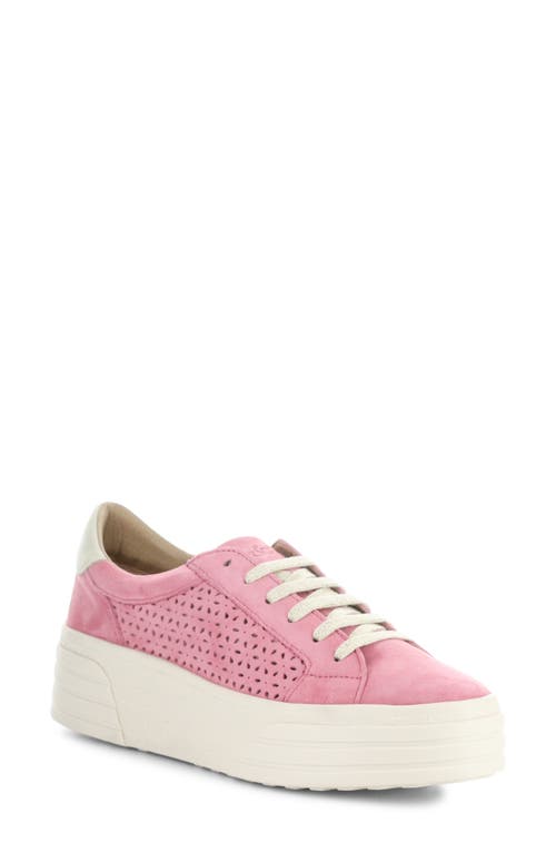 Shop Bos. & Co. Lotta Platform Sneaker In Pink Rose/marfil