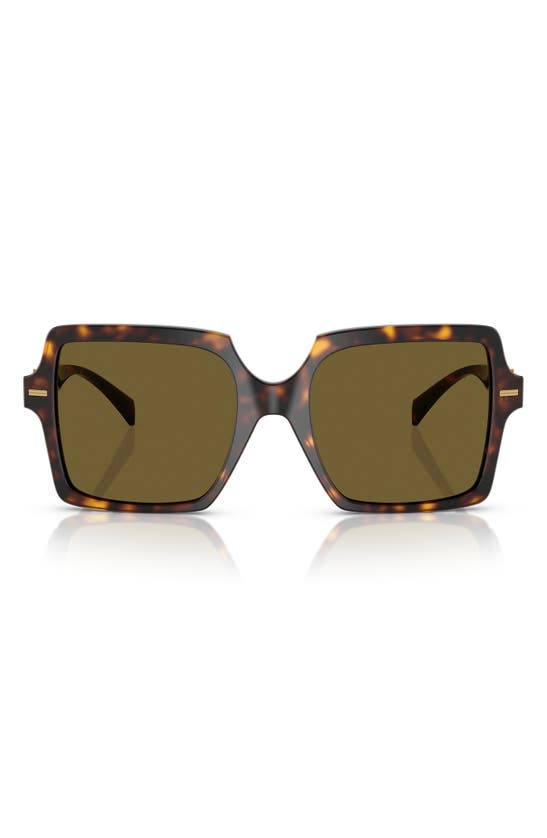 Versace Medusa Head Square-frame Sunglasses In Havana