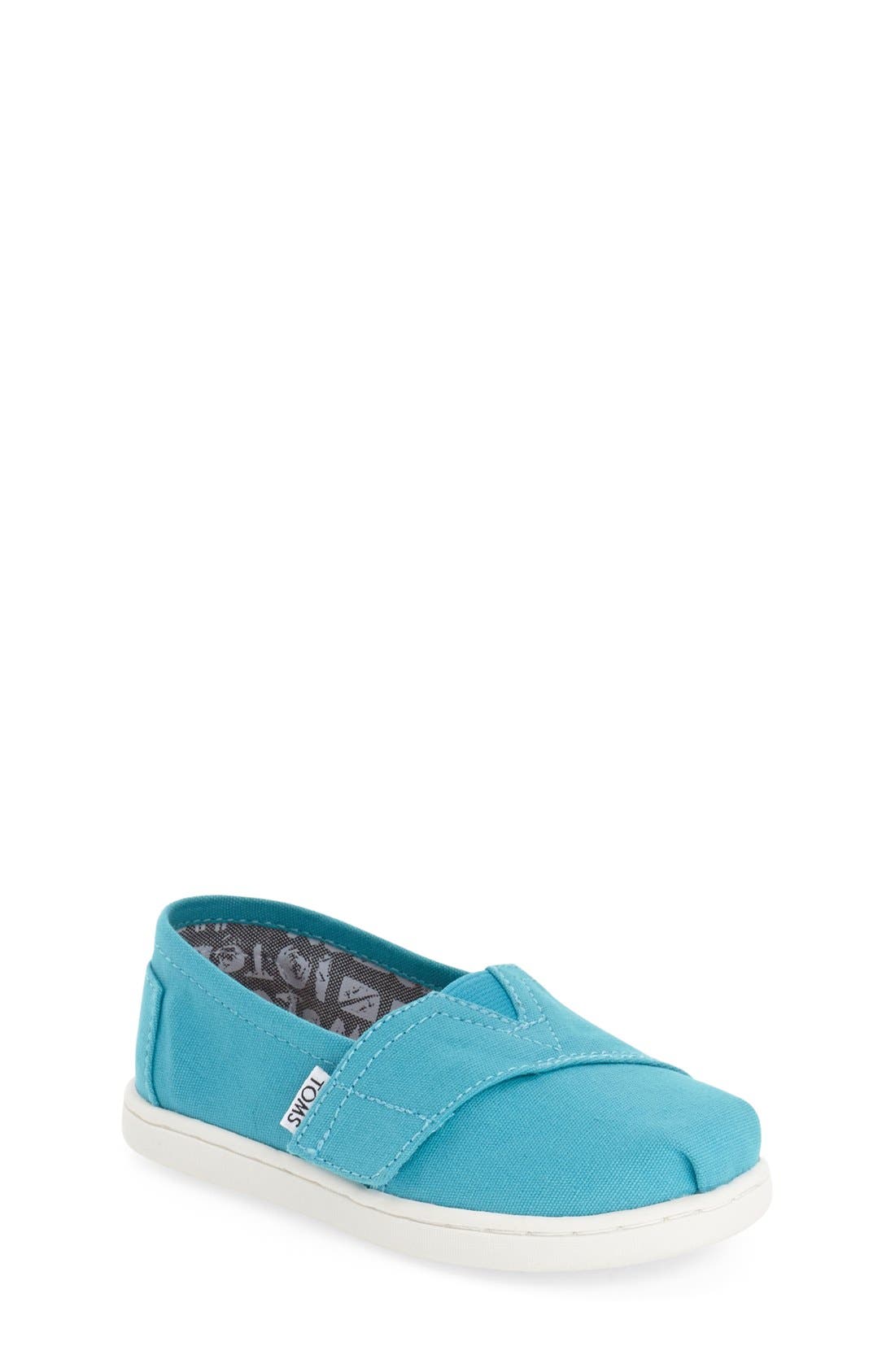 baby blue toms