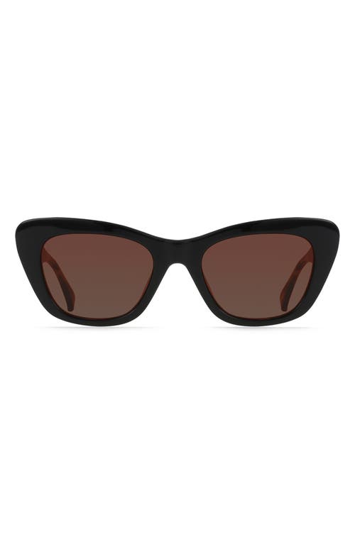 Kimma Cat Eye Polarized Square Sunglasses in Vesper/Drift Polar