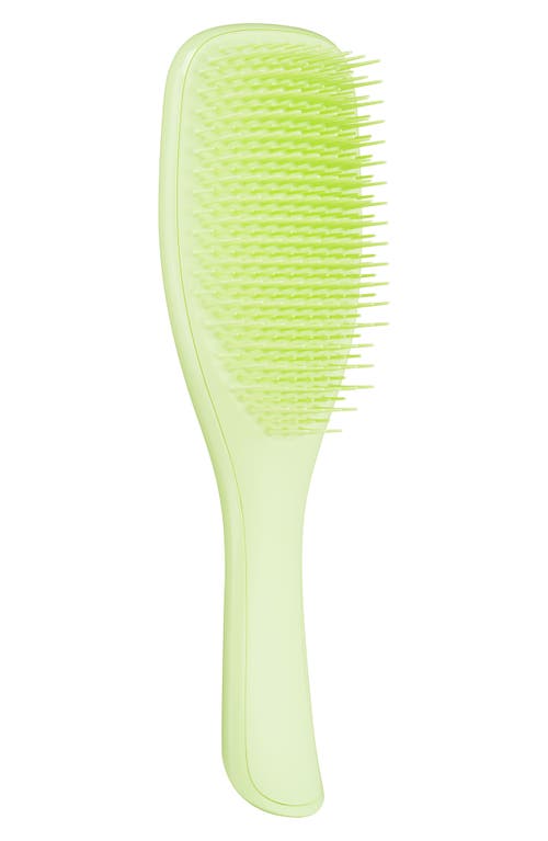 Shop Tangle Teezer Plant Brush For Fine & Fragile Hair In Matcha Green