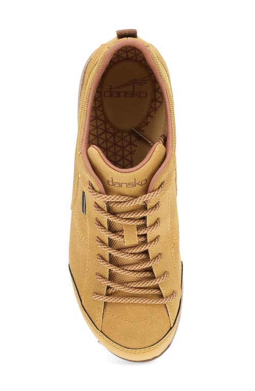 Shop Dansko Paisley Waterproof Sneaker In Wheat