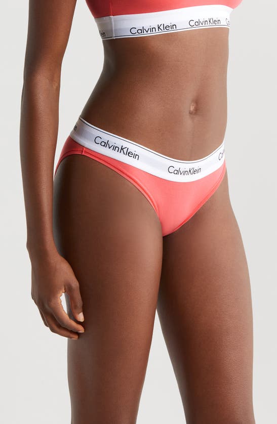 Shop Calvin Klein Modern Cotton Bikini In Calypso Coral
