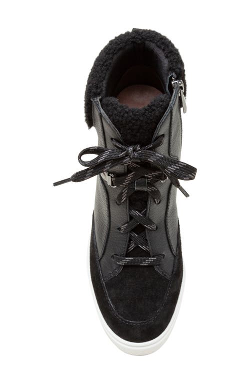 Shop Linea Paolo Arden Wedge Sneaker In Black