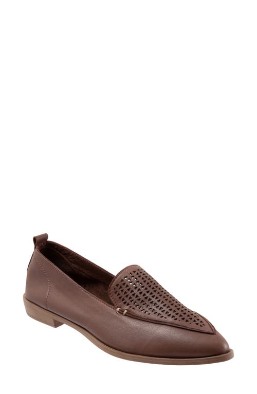 Bueno Blazey Pointed Toe Flat Dark Brown at Nordstrom,