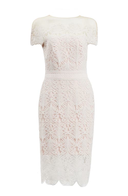 Shop Tadashi Shoji Corded Lace Sheath Cocktail Dress In Ivory/petal